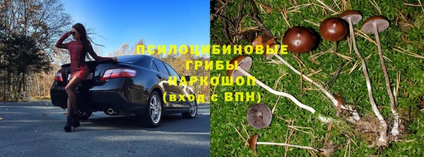 Альфа ПВП Алзамай