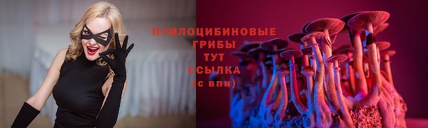 крисы Алексеевка