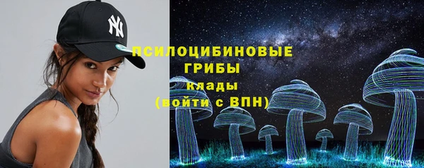 Альфа ПВП Алзамай